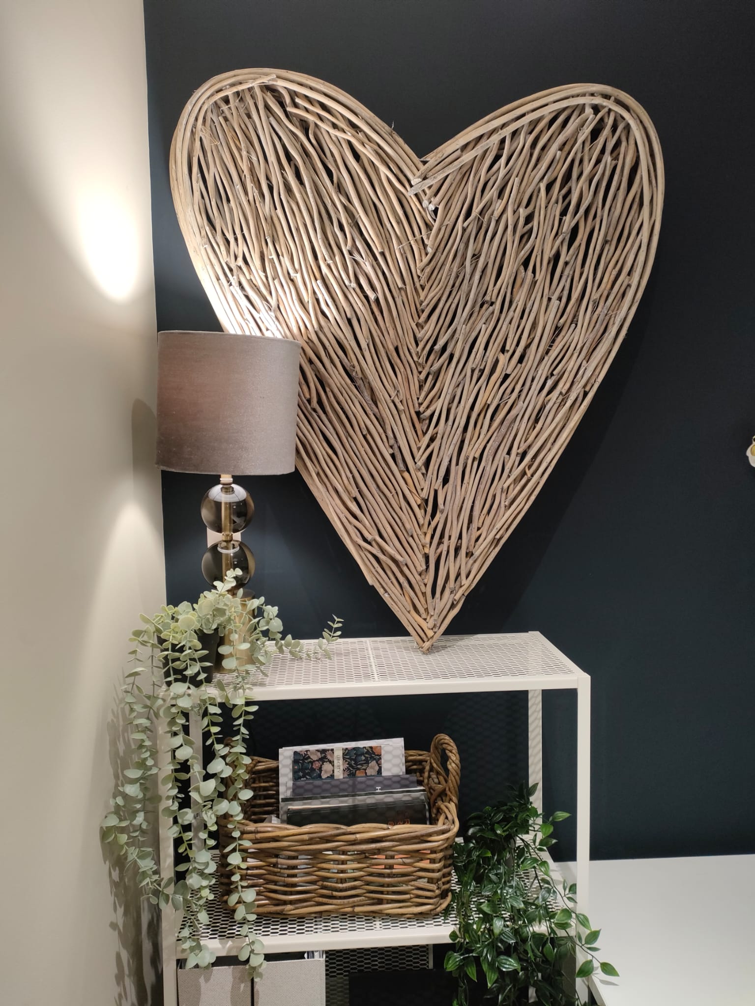 WhatsApp Image 2023 01 25 at 11.48.50 AM